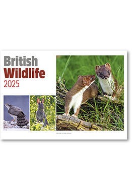 British Wildlife Central Spiral